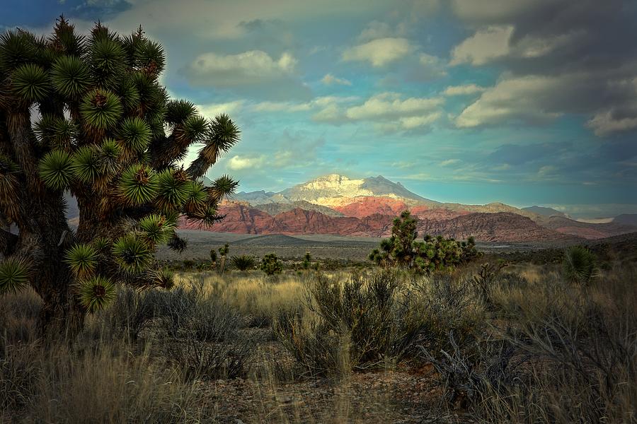 Desert Photograph - Red Rock East by Mark Ross