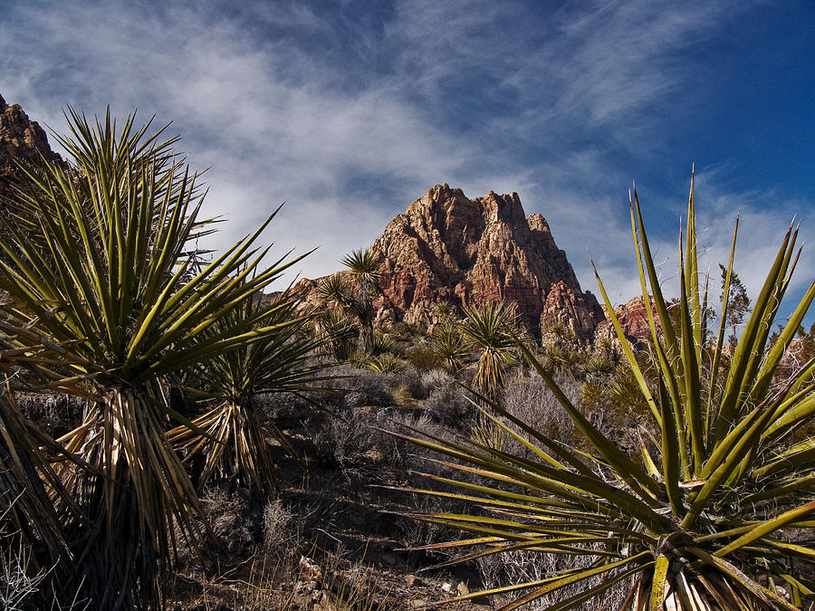 Red Rock Photograph by Guillermo Rodriguez