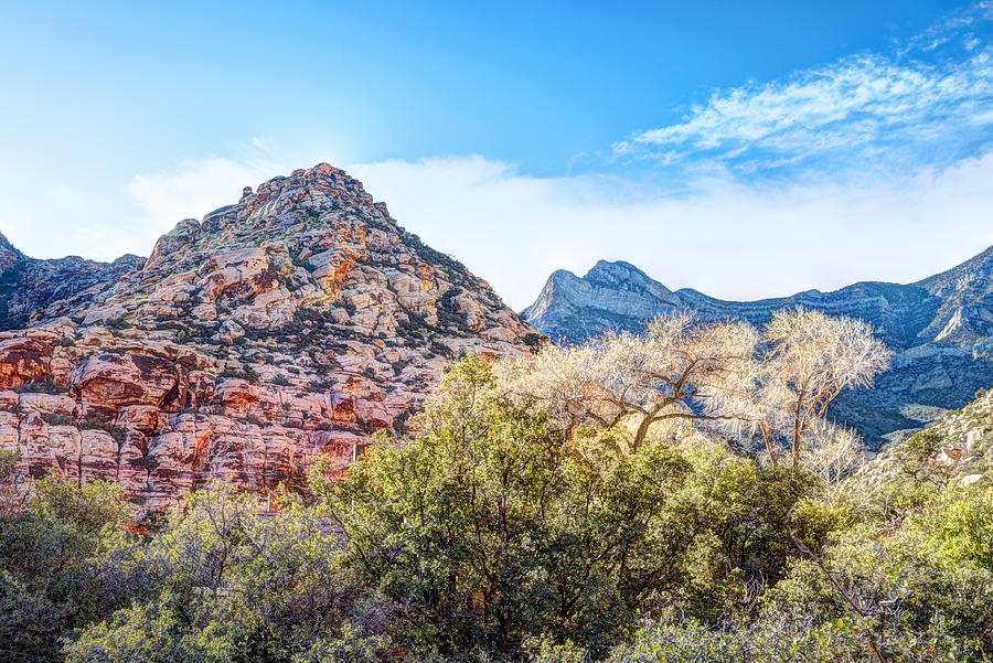 Red Rock Calico Hills Nevada Photograph By Carol C