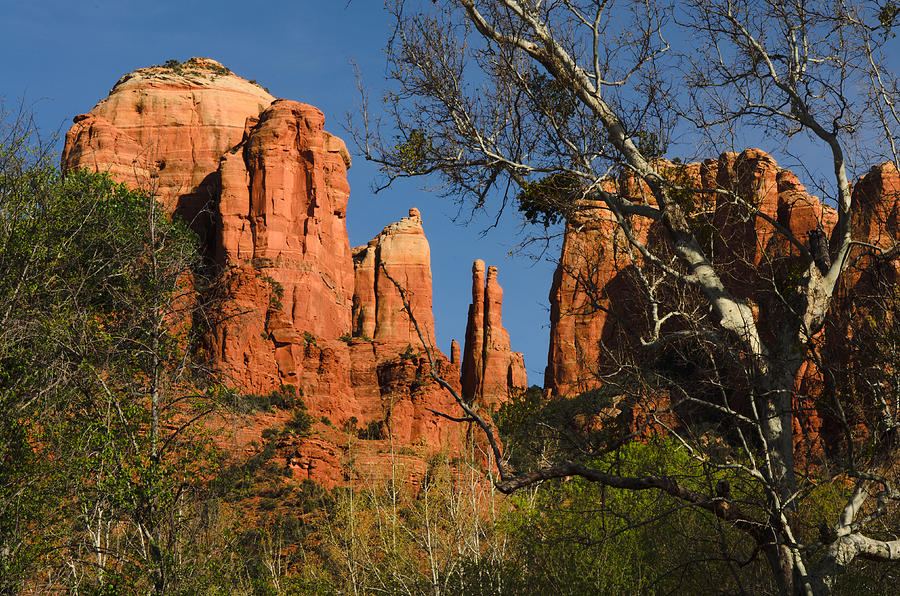 Red Rock Sedona Sunset Photograph by Rudy DeVeau - Fine Art America