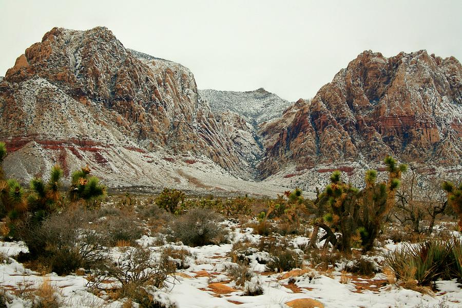 Red Rock Snow Photograph by Douglas Miller
