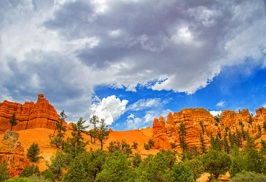 Red rock state park Photograph by Kunal Mehra