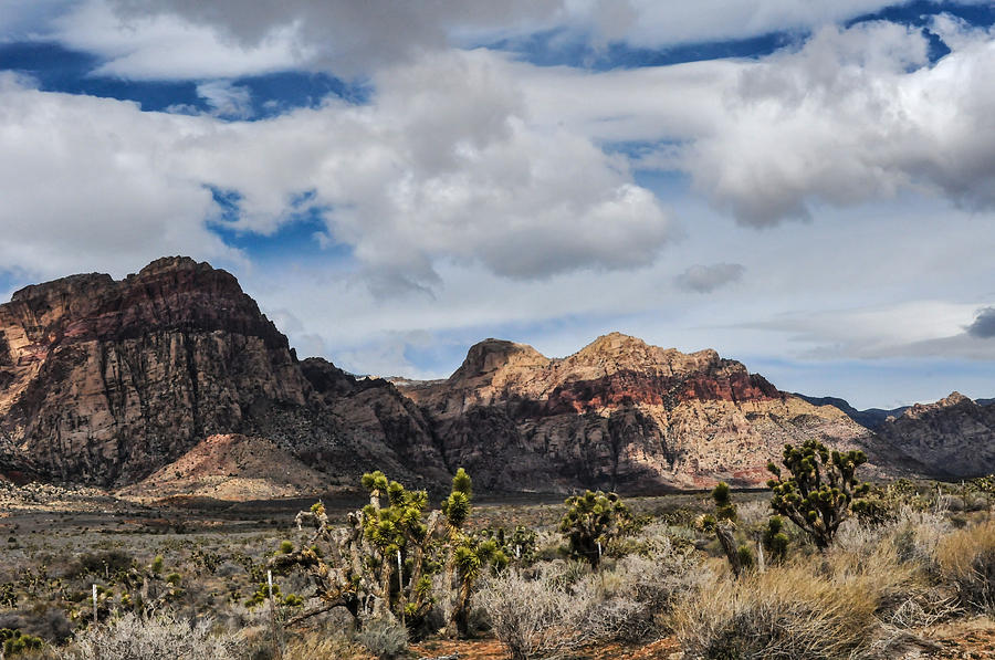 Red Rock sun Photograph by Brian Mcmillen - Fine Art America