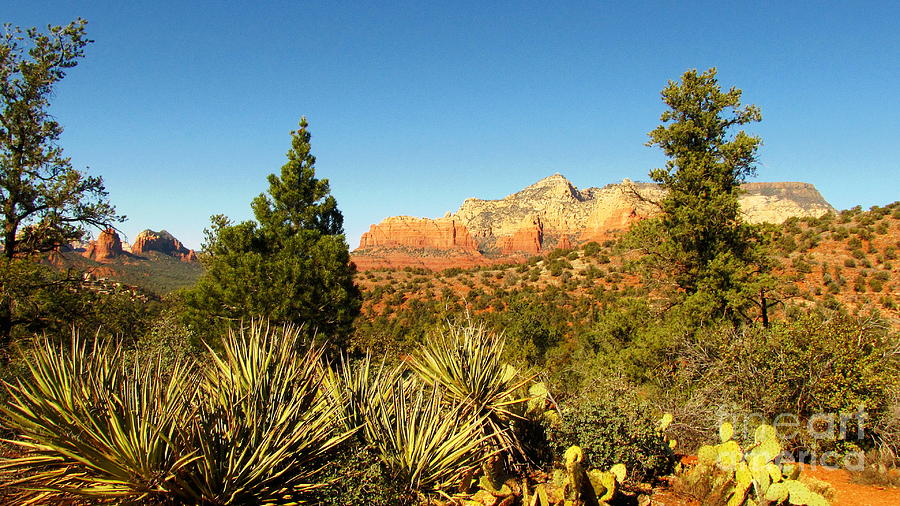 Red Rock Vista Photograph by Marilyn Smith