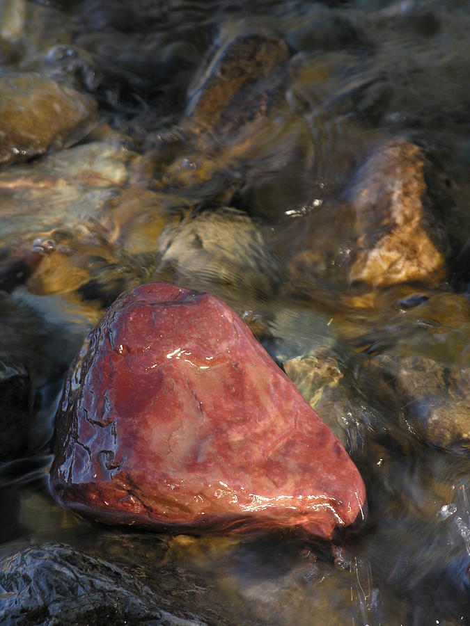 Red Rock Washed By Water Photograph by Robert Lozen