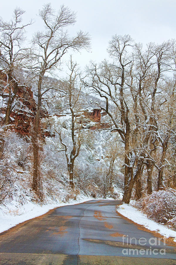 Red Rock Winter Road Portrait Photograph by James BO Insogna