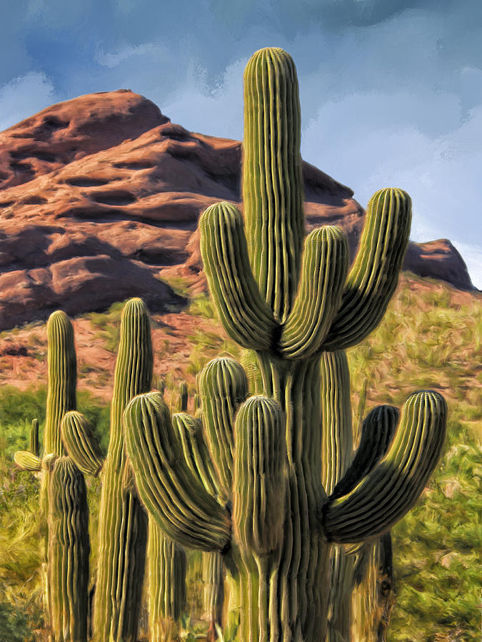 Red Rocks and Saguaros Painting by Dominic Piperata