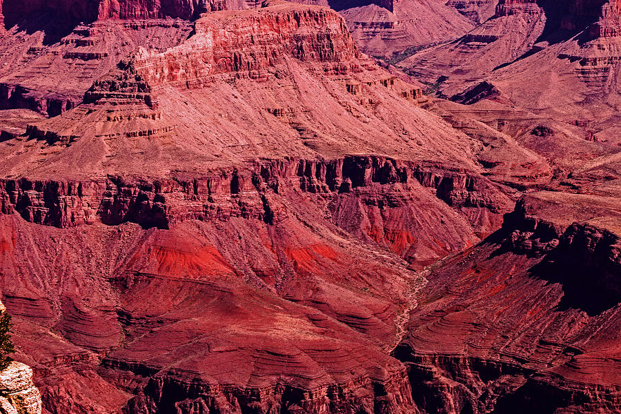 Red Rocks Grand Canyon Photograph by Robert Hebert