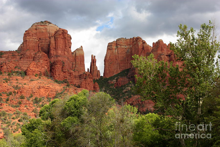 Red Rocks of Sedona with Spring Trees Photograph by Carol Groenen