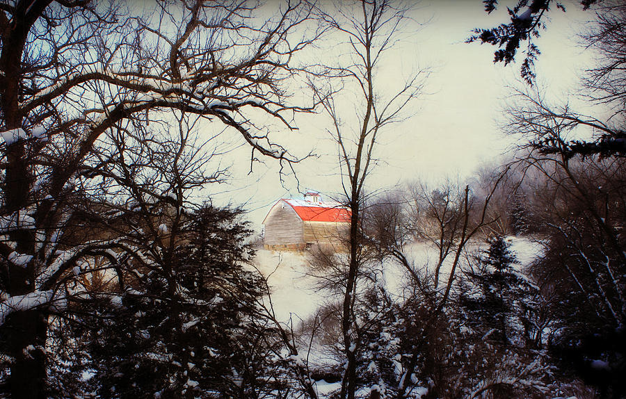 Red Roof Barn Photograph by Julie Hamilton