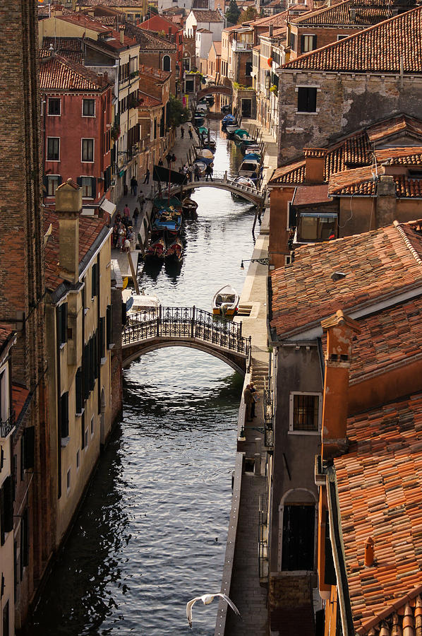 Red Roofs Of Venice Photograph