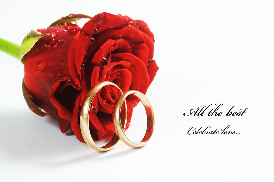 Red rose and wedding ring Photograph by Michal Bednarek