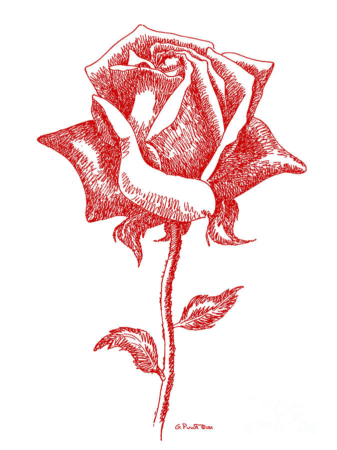 Red Rose Art 1 Digital Art by Gordon Punt