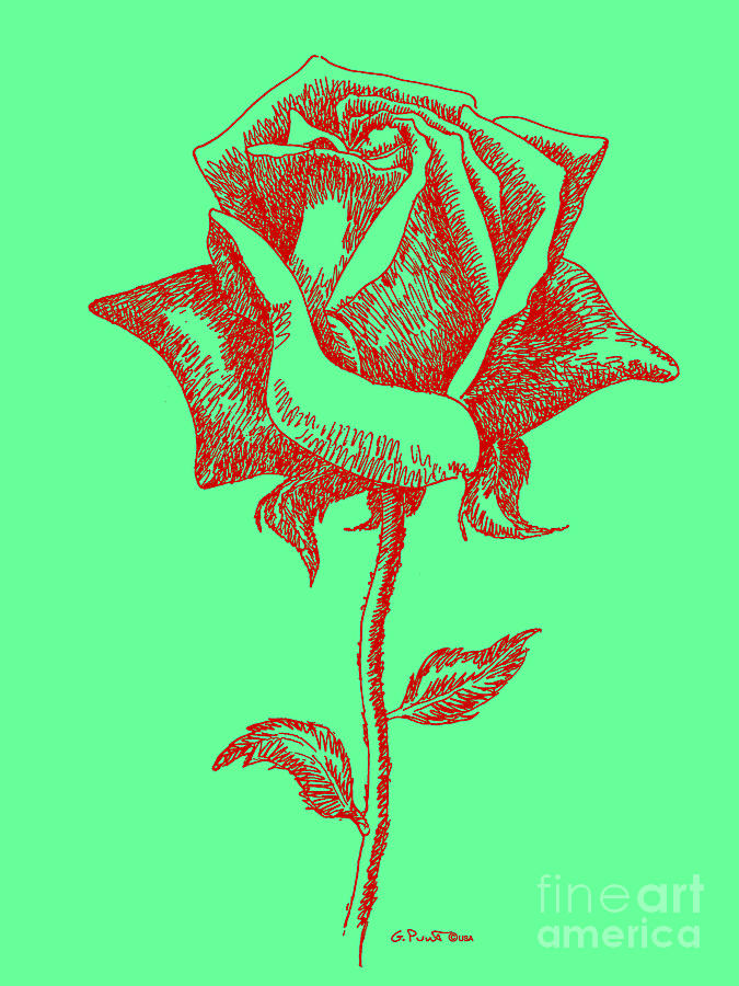 Red Rose Drawings 8 Digital Art by Gordon Punt