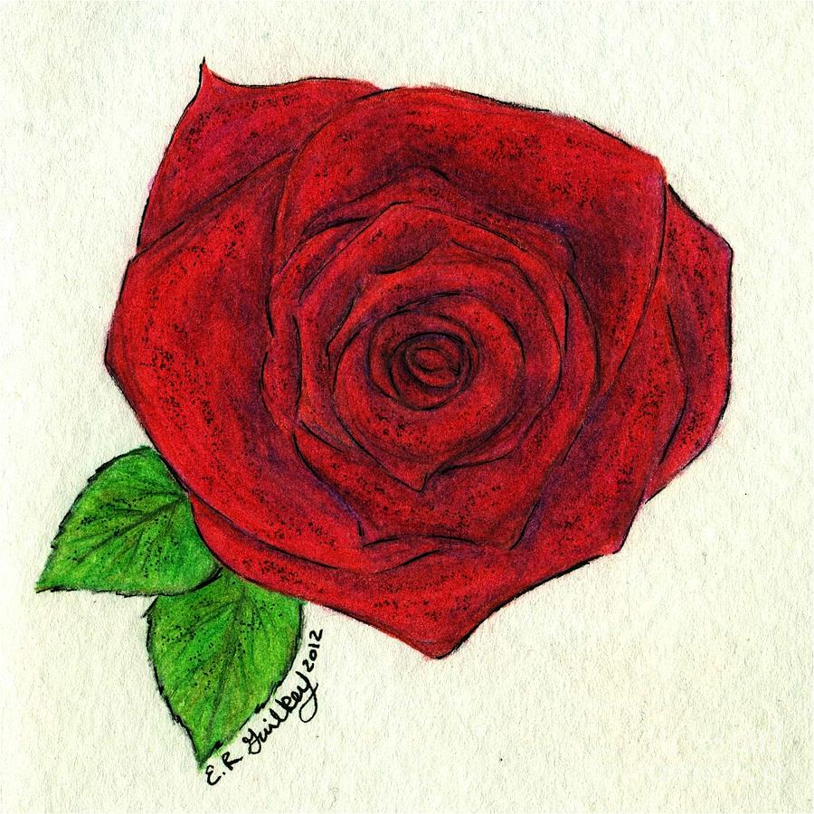 Рисунок розы на платье