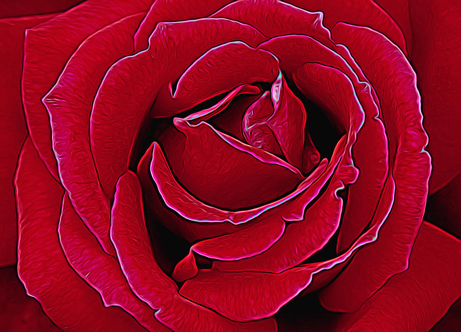 Flower Photograph - Red Rose Glow by Allen Beatty