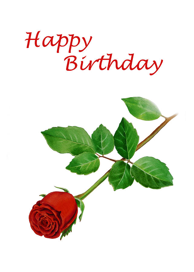 Happy Birthday Red Rose Birthday Card Flower Birthday Card 
