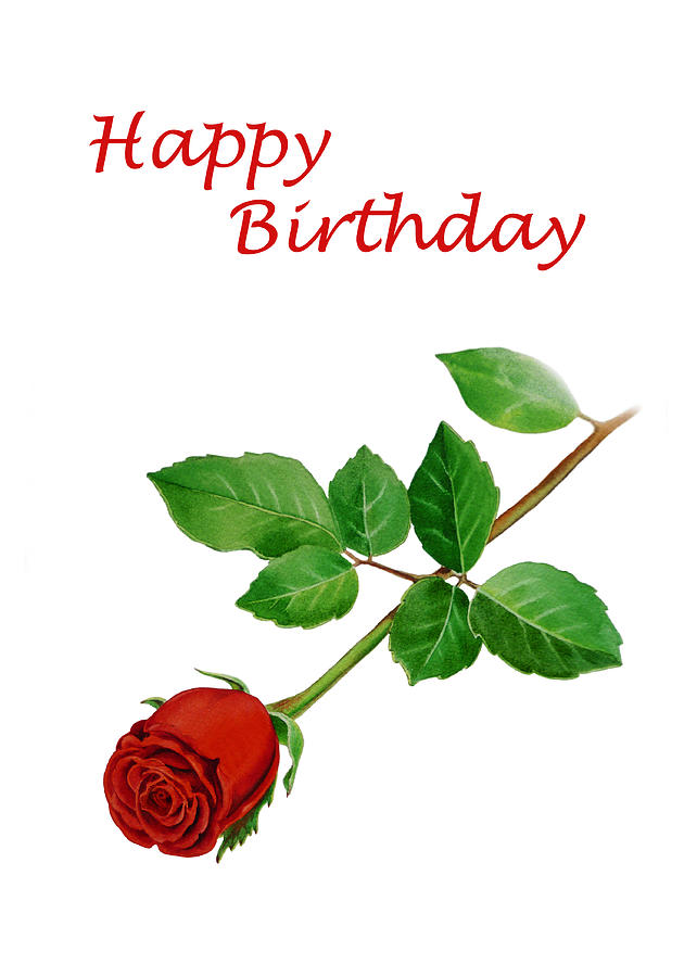 Happy Birthday Red Rose Bouquet Card