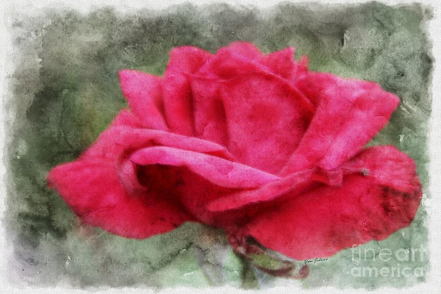 Red Rose in Oil Pastel Photograph by Yumi Johnson