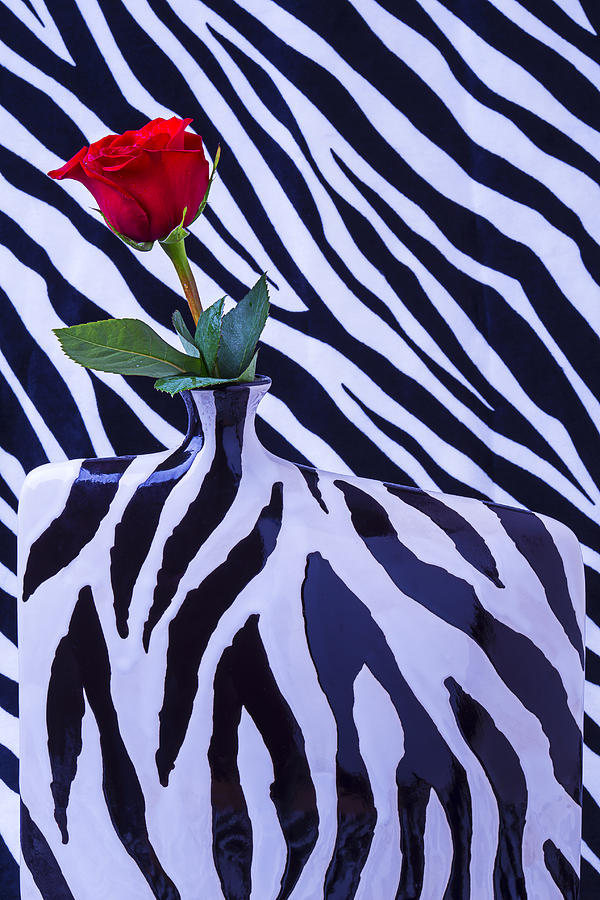 Rose Photograph - Red Rose In Zebra Vase by Garry Gay