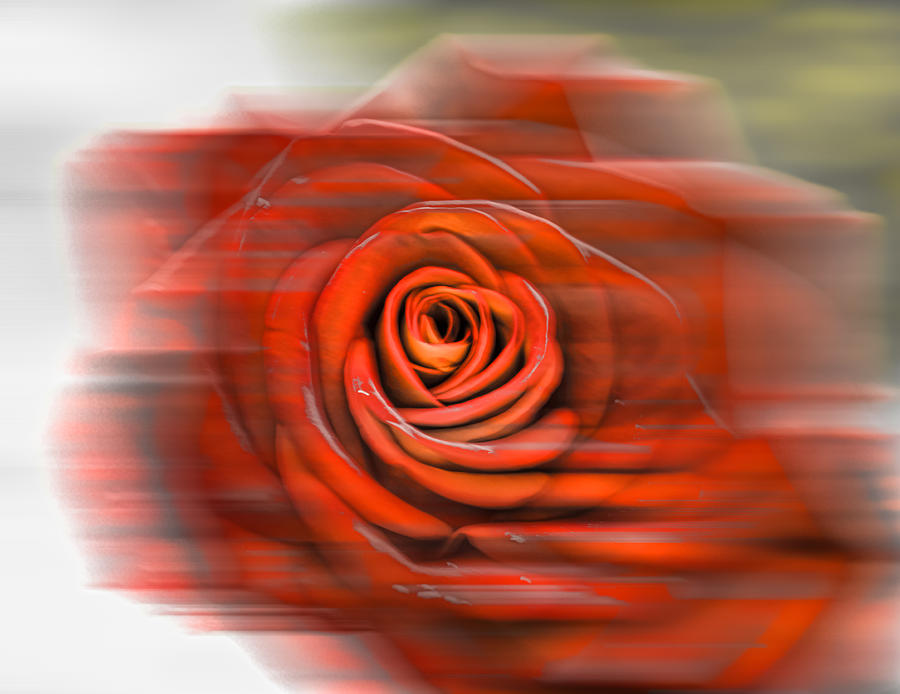 Abstract Photograph - Red rose by Leif Sohlman