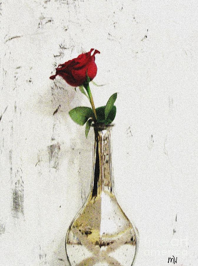 Red Rose Love Photograph by Marsha Heiken
