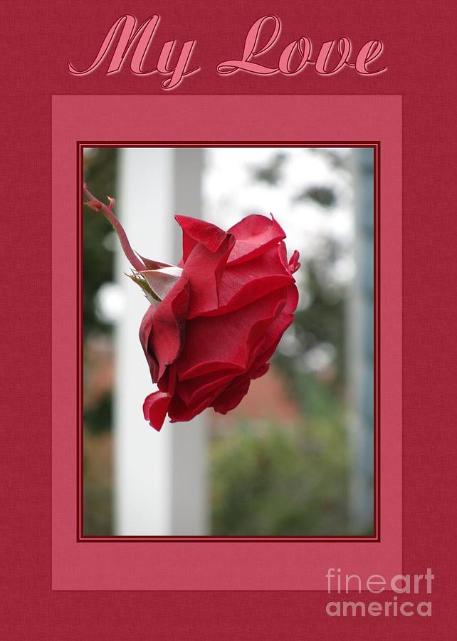 Rose Digital Art - Red Rose My Love by JH Designs