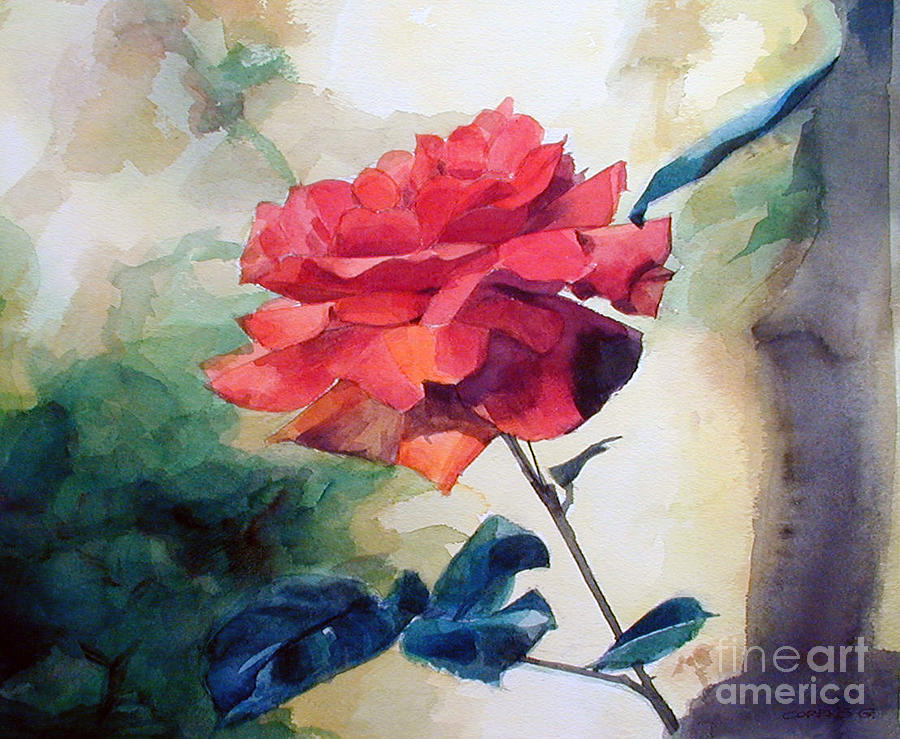 Watercolor of a Single Red Rose on a Branch Painting by Greta Corens