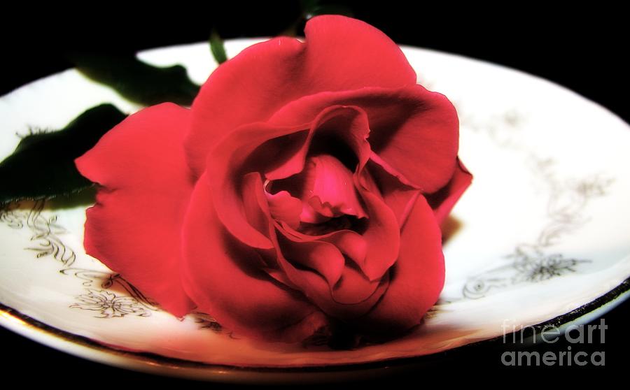 Red Rose on Antique Saucer with Soft Touch Effect Photograph by Rose Santuci-Sofranko