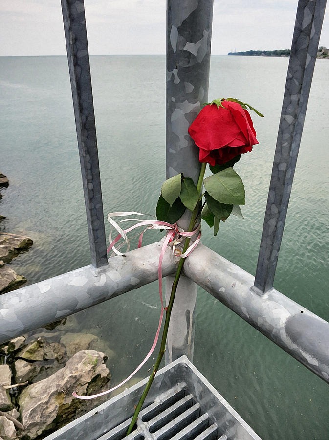 Red Rose on Fishing Pier Photograph by Patricia Januszkiewicz