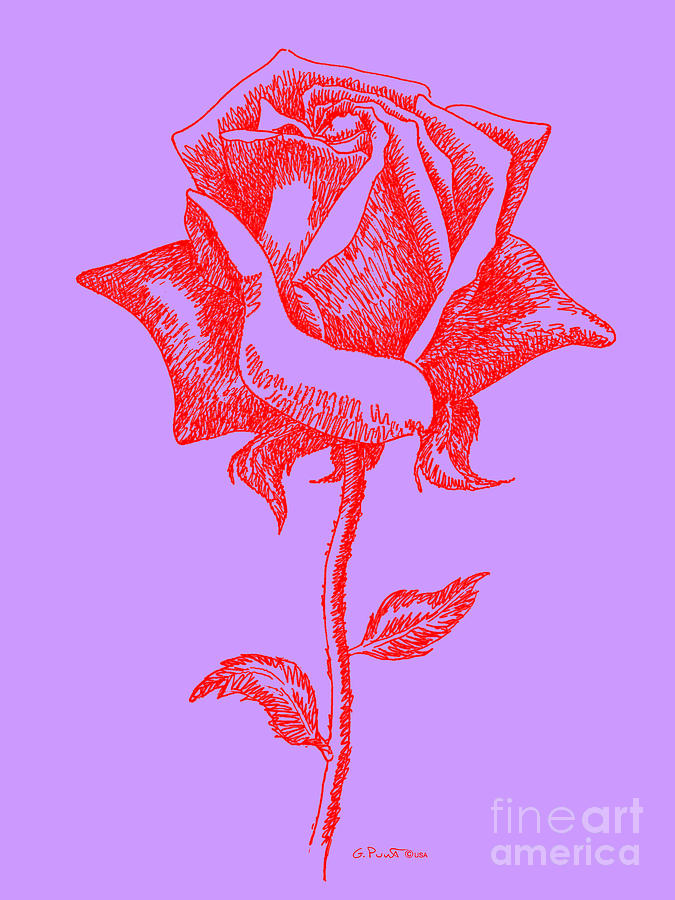 Red Rose Prints 14 Digital Art by Gordon Punt