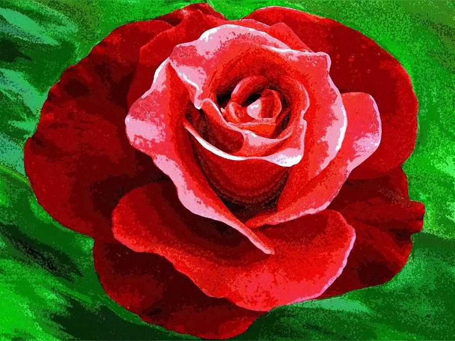 Red Rose Radiance Digital Art