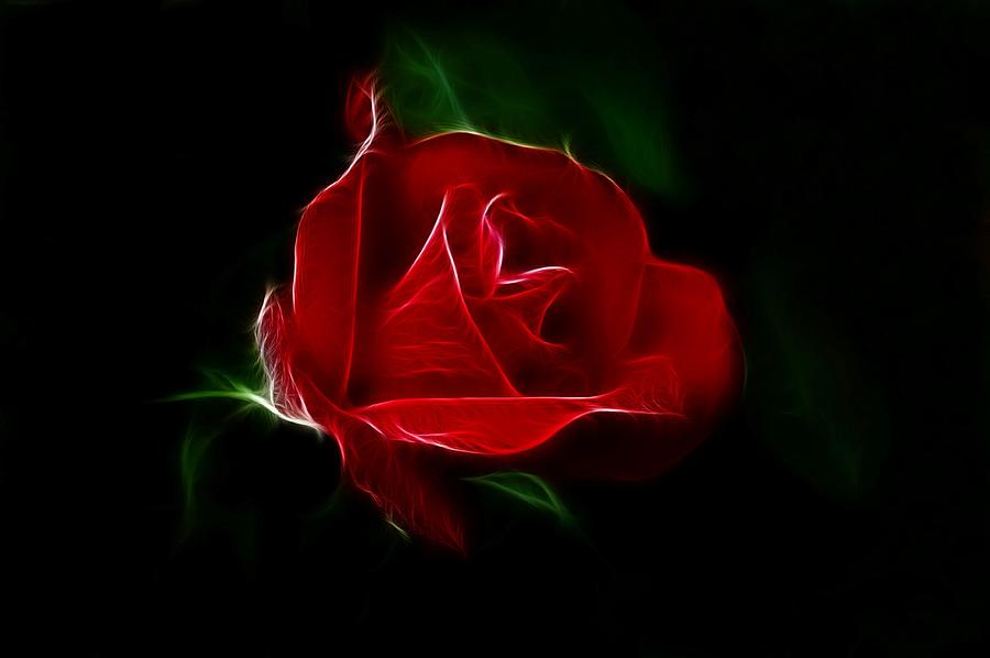 Red Rose Photograph by Sandy Keeton