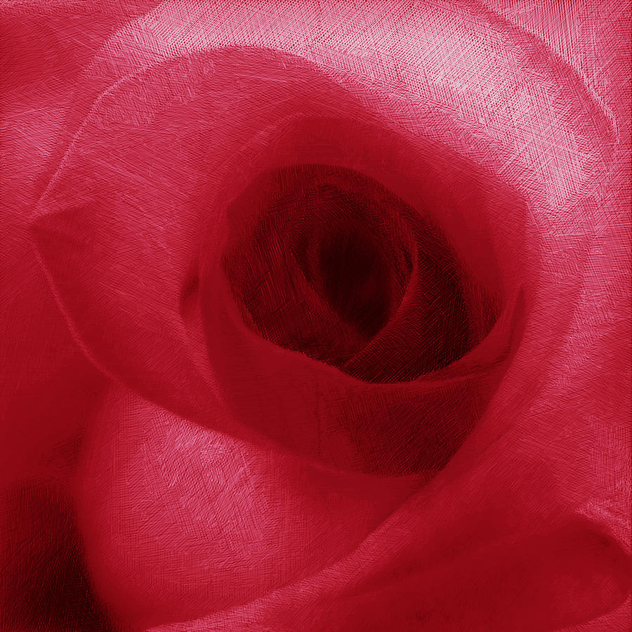 Red Rose Painting by Tony Rubino