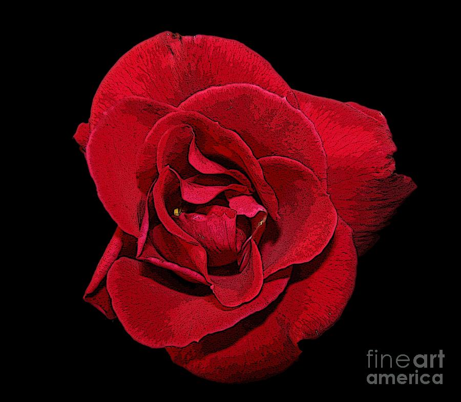 Red Rose with Poster Edges Effect Photograph by Rose Santuci-Sofranko
