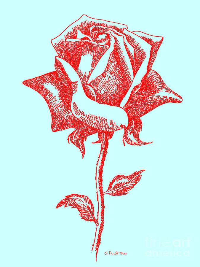 Red Roses 10 Digital Art by Gordon Punt