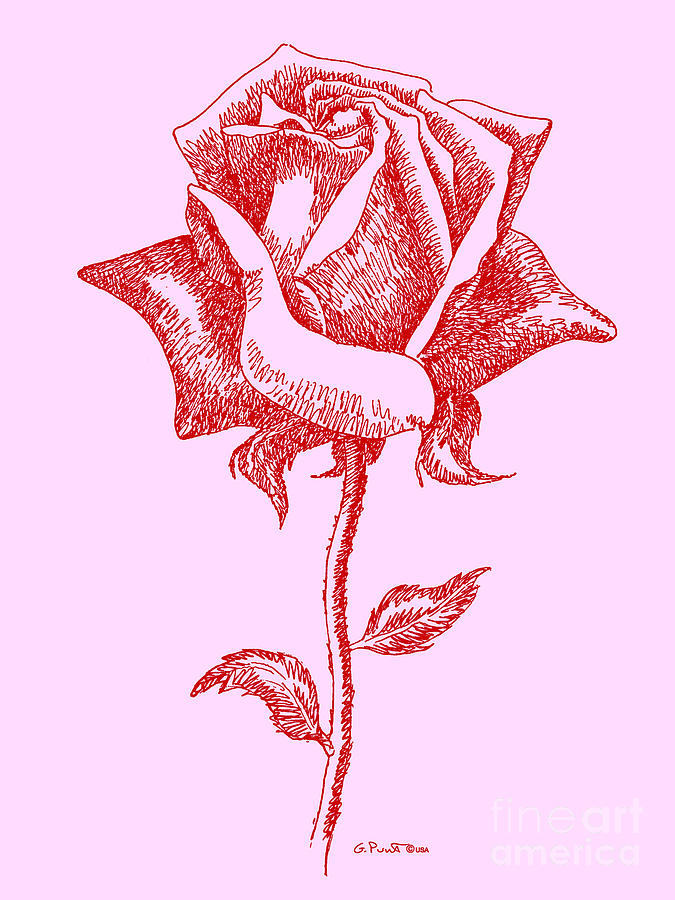 Red Roses 13 Digital Art by Gordon Punt