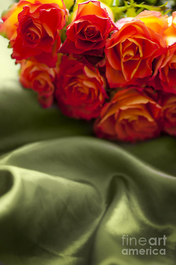 Red Roses On Green Silk Photograph by Lee Avison