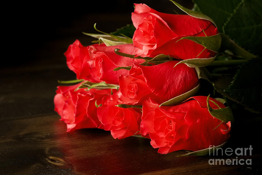 Flower Photograph - Red roses on wood floor by Simon Bratt