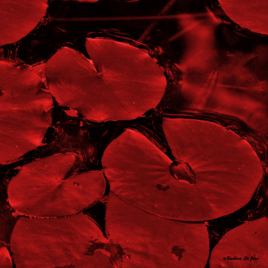 Abstract Photograph - Red Ruby Tuesday by Barbara St Jean