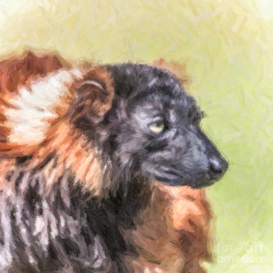 Wildlife Digital Art - Red-ruffed Lemur by Liz Leyden