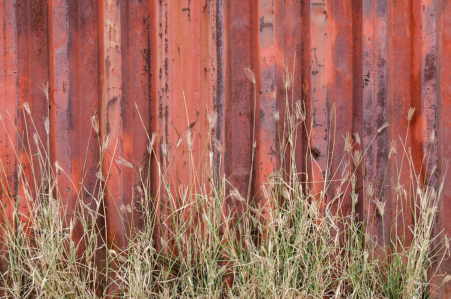 Red Rusty Wall and Grasses. Photograph by Rob Huntley