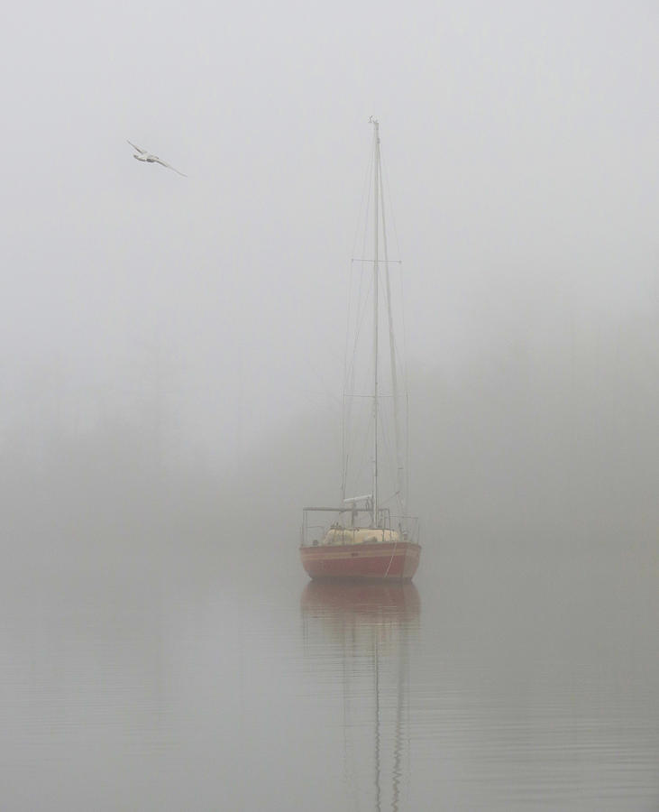 Red Sailboat in Fog Photograph by Deborah Smith