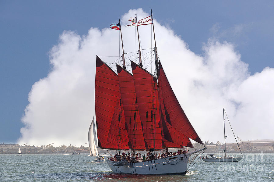 Red Sailed Tall Ship Photograph by Brenda Kean
