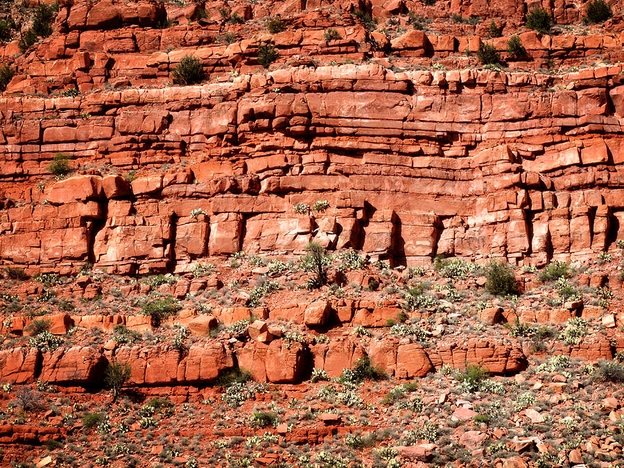Red Sandstone Cliffs Photograph