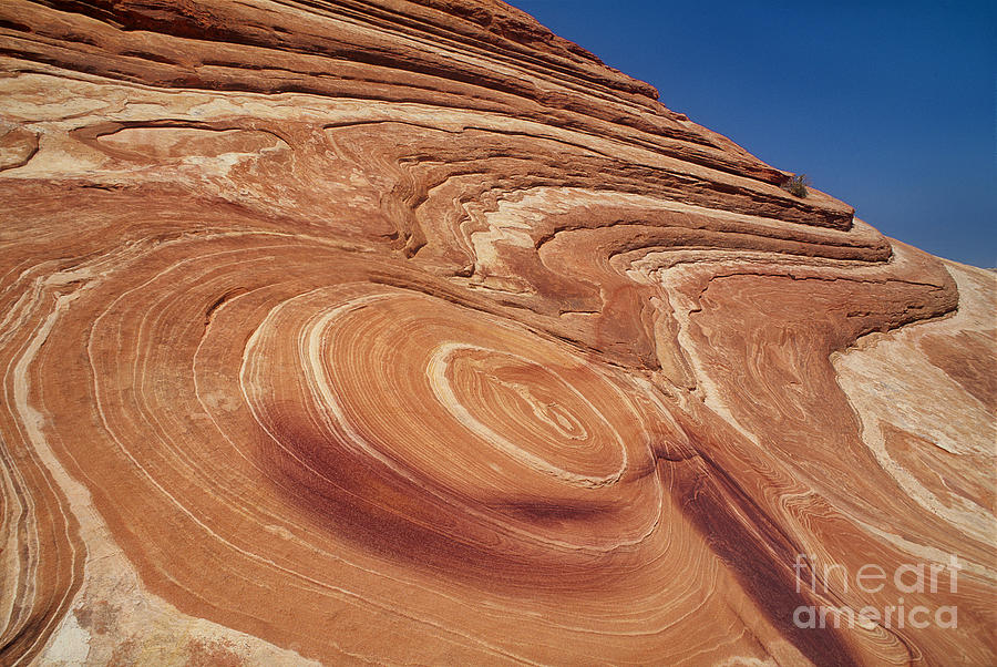 Red Sandstone Formations Coyote Buttes Colorado Plateau Utah Photograph by Dave Welling