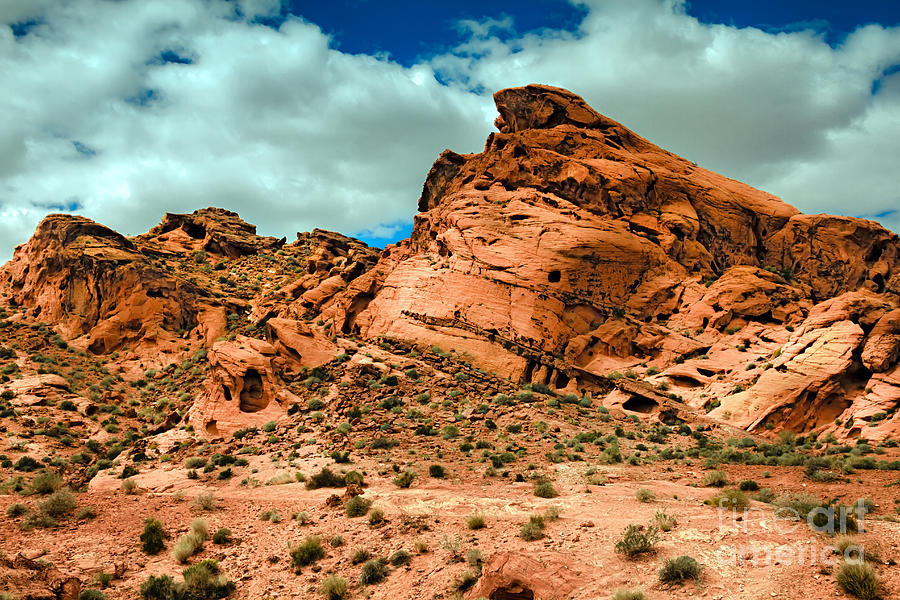 Red Sandstone Photograph by Robert Bales