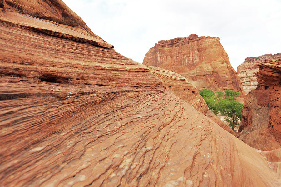 Nature Photograph - Red Sandstone Rock Formation In Canyon by Arturbo