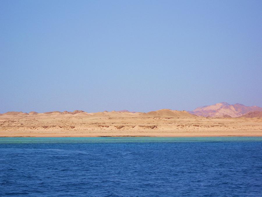 Egypt Photograph - Red sea  by Alice Butera