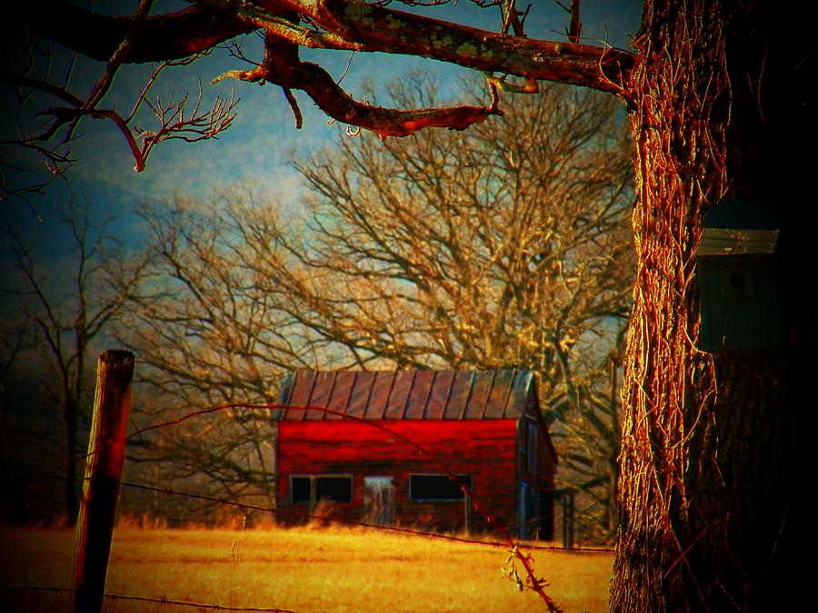 Red Shed Photograph by Joyce Kimble Smith